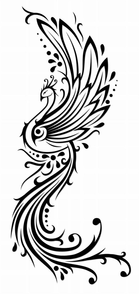 484x1023 phoenix tattoo airy poo