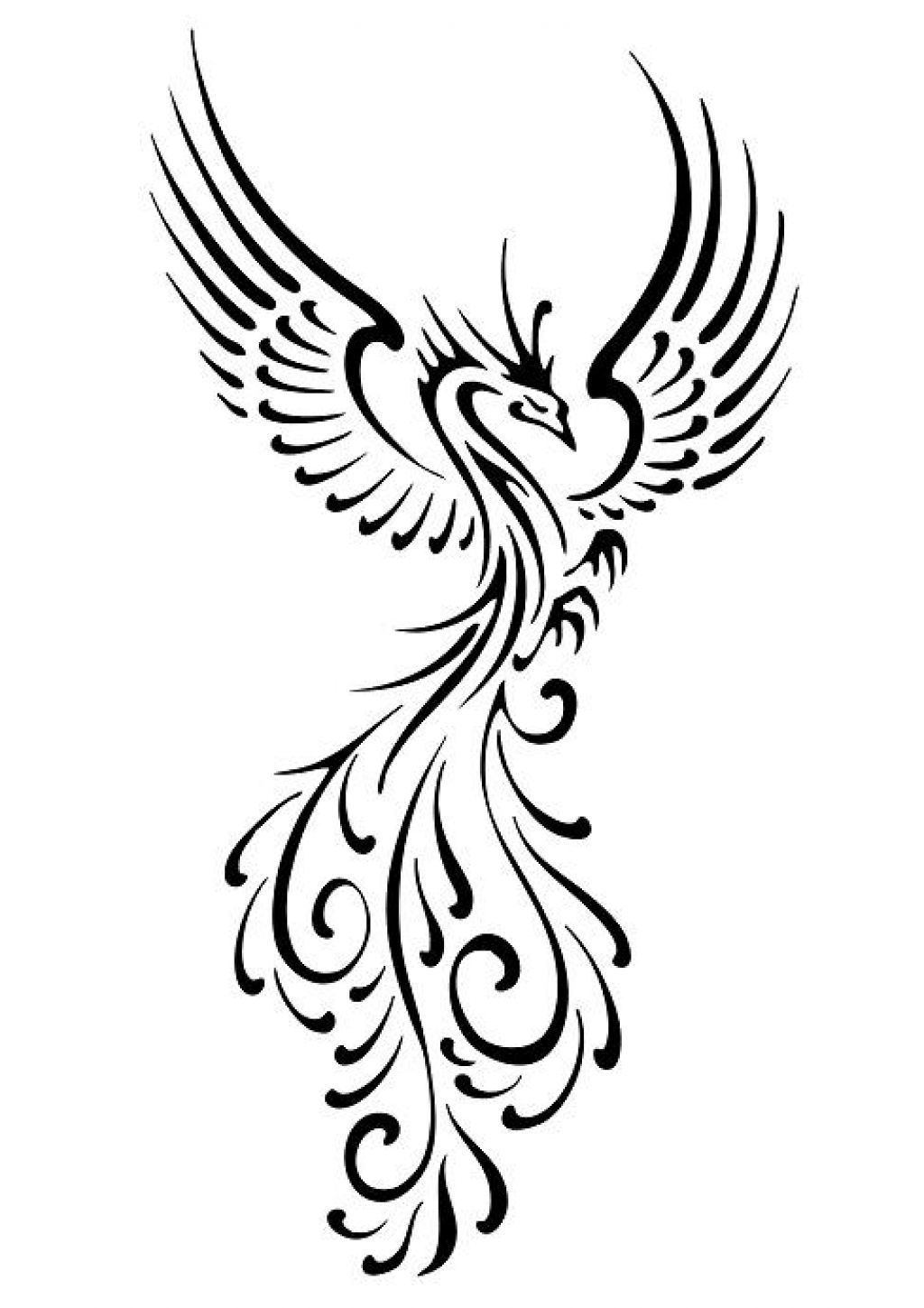 1024x1449 Tattoo Ideas Phoenix Tattoo Design