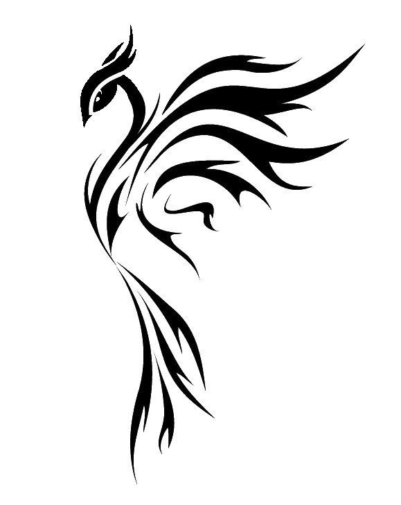 579x729 Small Phoenix Tattoos For Women Drawings Ideas And Designs