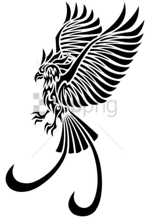 480x694 phoenix tattoo left png image with transparent background toppng