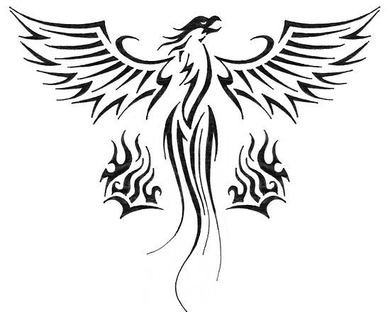 550x440 Awesome Tribal Phoenix Tattoo Design