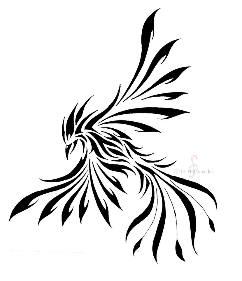 Phoenix Wings Drawing