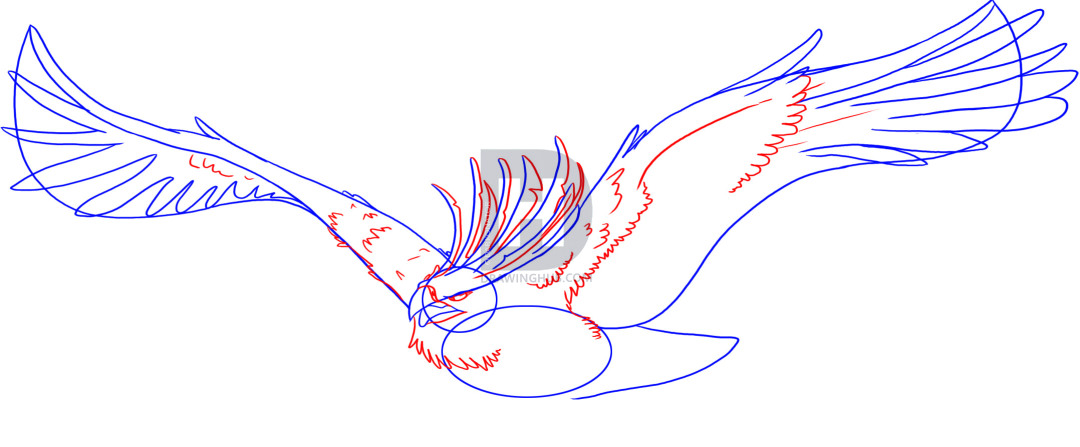 1080x447 How To Draw A Phoenix Bird Of Flames, Step