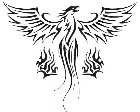 550x440 Phoenix Tattoo Images Designs