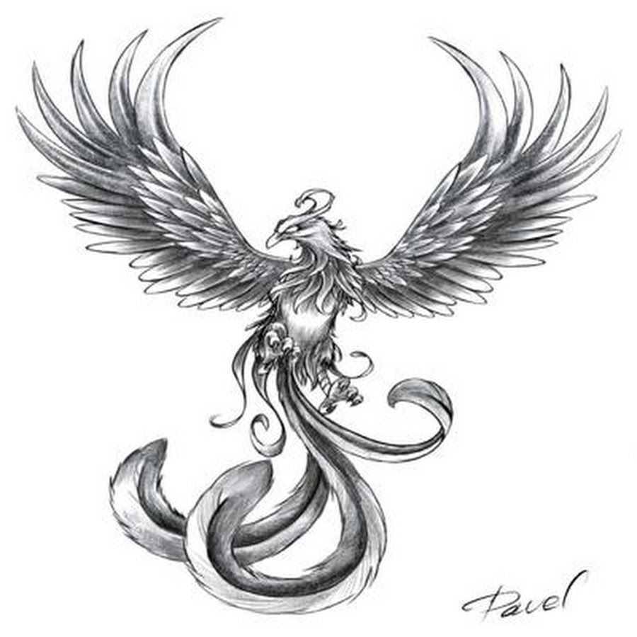 900x900 Tattoos Phoenix Tattoo Design, Small Phoenix