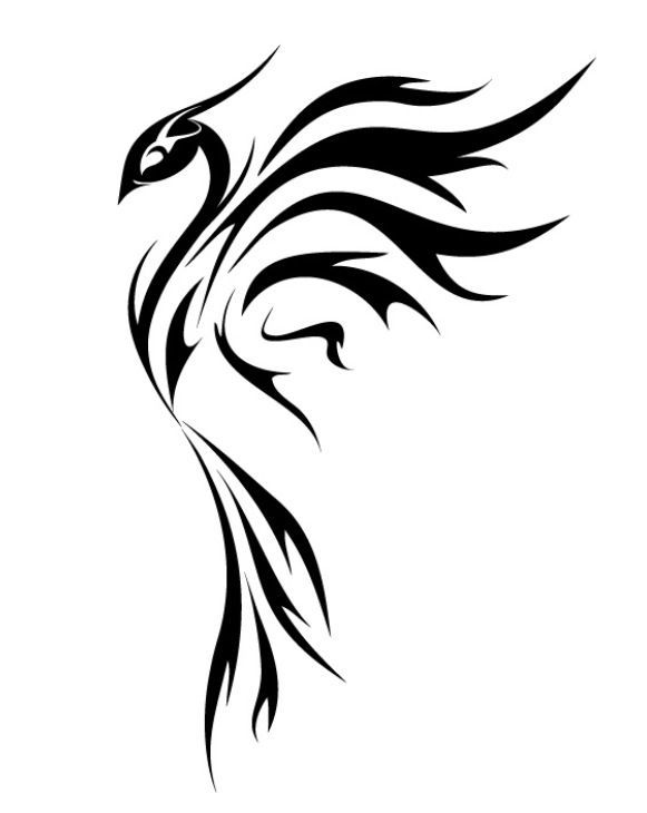581x730 Phoenix Drawing Stencil For Free Download