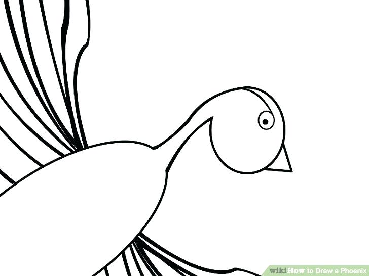 728x546 How To Draw A Pheonix