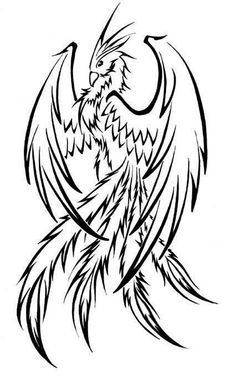 236x387 Drawn Wings Phoenix