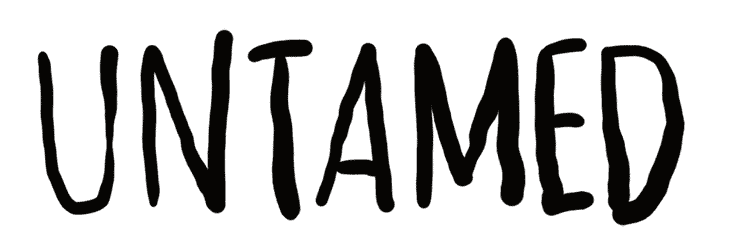 730x252 How To Make Hand Drawn Style Animations