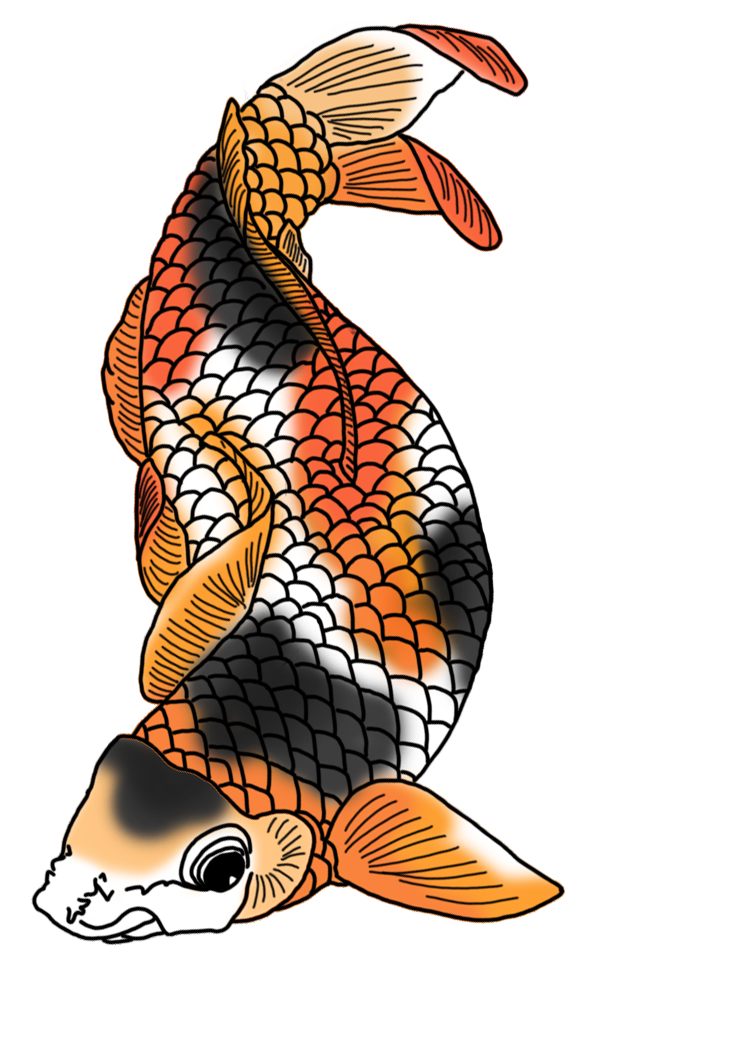 736x1063 Colorful Koi Fish Drawings
