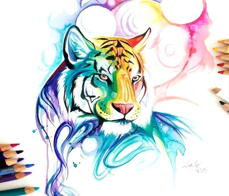 750x640 Picture Of A Tiger To Color Color Tiger Tiger Snake Colours Zupa