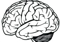 200x140 Brain Line Drawing Brain Line Drawing Clip Art
