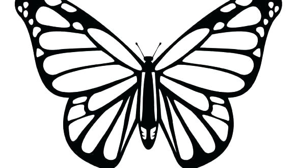 585x329 Butterfly Printable Coloring Pages Outline Drawing Of A At Free