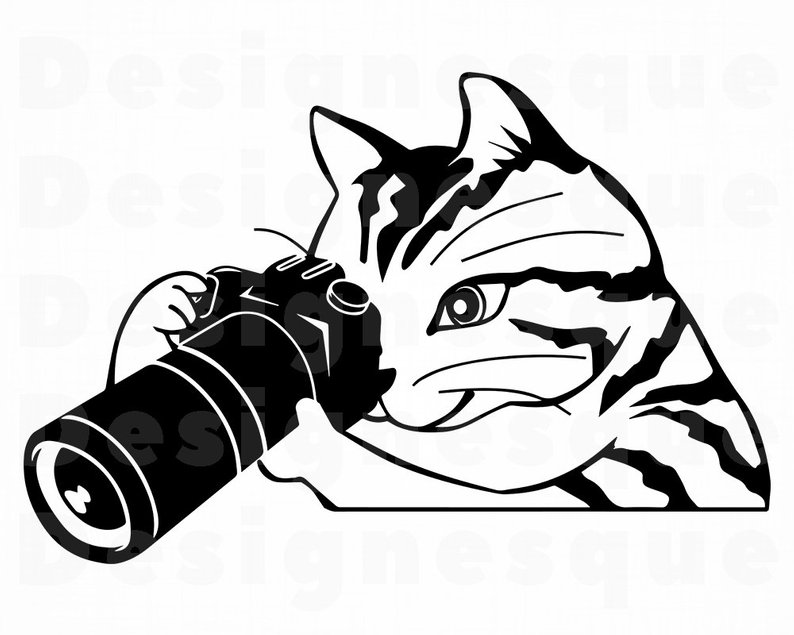 794x635 Cat Playing Photographer Photography Camera Etsy