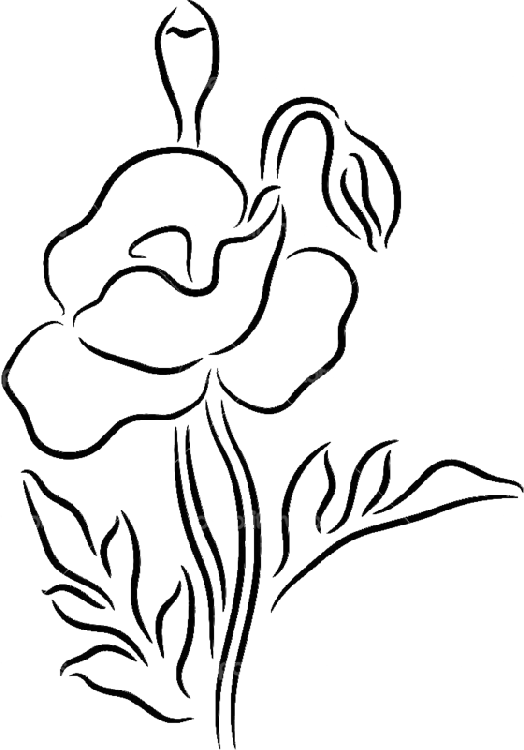 524x750 Drawing Photography Huge Freebie! Download For Powerpoint