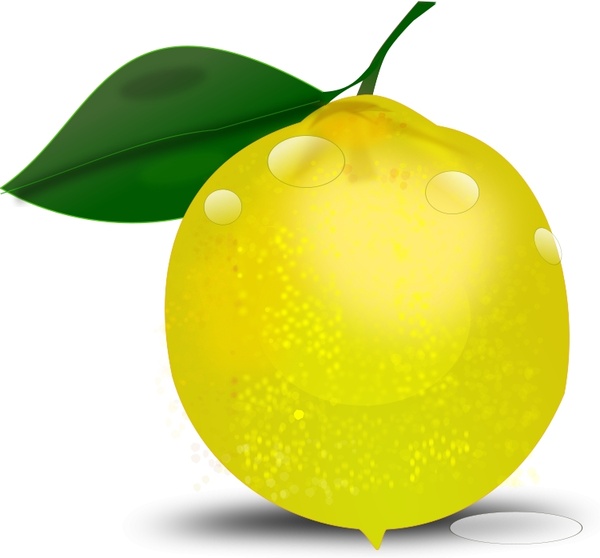 600x558 lemon photorealistic free vector in open office drawing