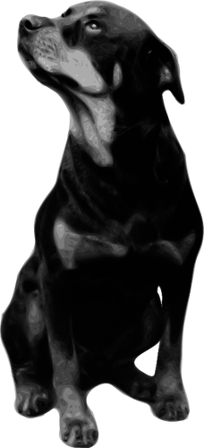 228x500 photorealistic vector drawing of rottweiler