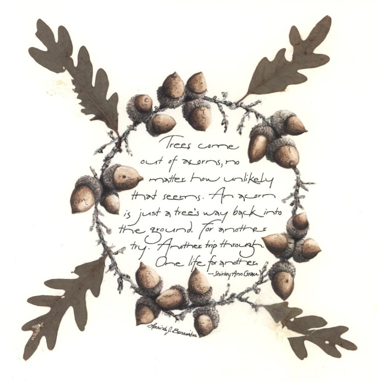 1257x1269 acorns colored pencil print art illustration wreath etsy