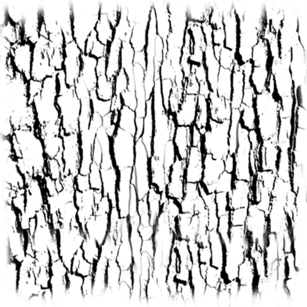 1050x1050 Photoshop Painting Tutorial