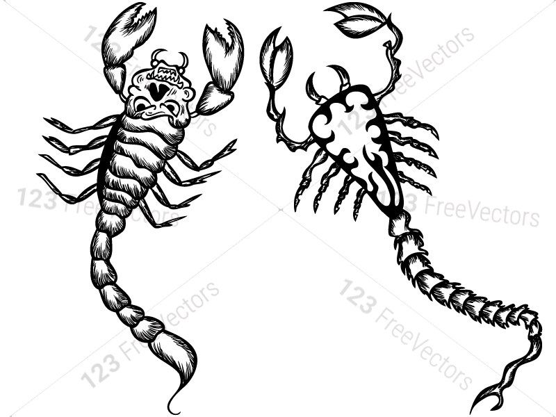 800x600 Hand Drawn Scorpions Vector And Photoshop Brush Pack Scorpion