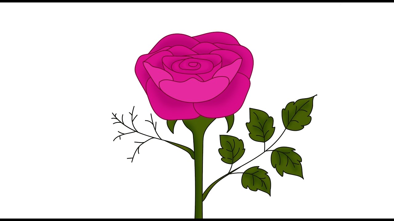 1280x720 How To Draw A Rose Using Illustrator And Photoshop