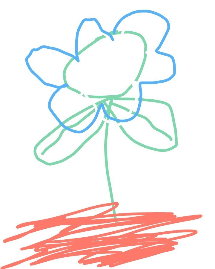 720x900 How Are Water And Nutrients From The Soil Absorbed