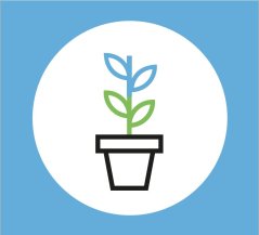 239x217 Photosynthesis, The Green Engine Of Life On Earth