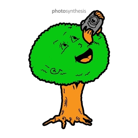 442x442 Photosynthesis