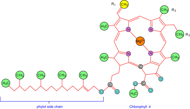660x379 Photosynthesis