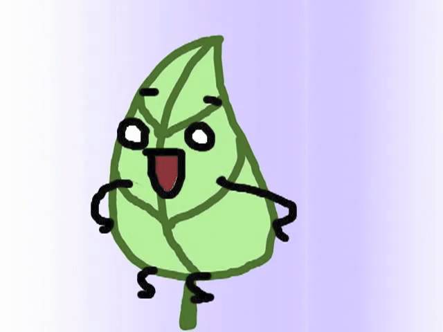 640x480 photosynthesis collaborative project p grp b