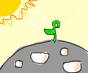 300x250 Photosynthesis On The Moon