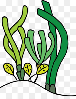 260x340 Photosynthesis Png Free Download