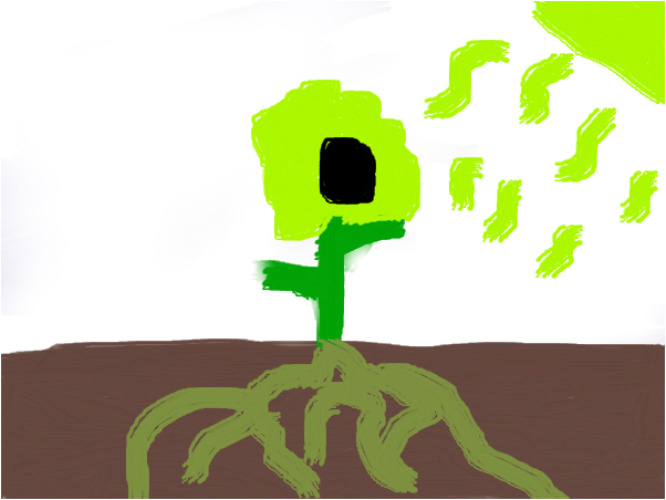 602x452 Photosynthesis