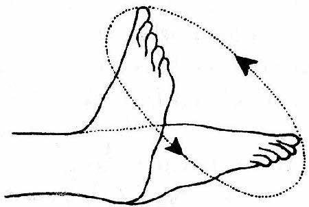 450x302 Physical Education Term Aps