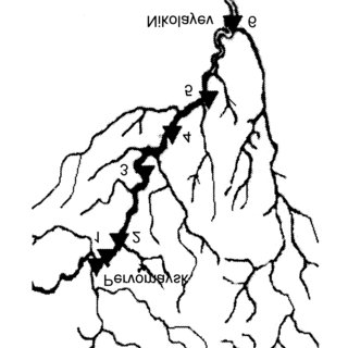 320x320 phytoplankton characteristics