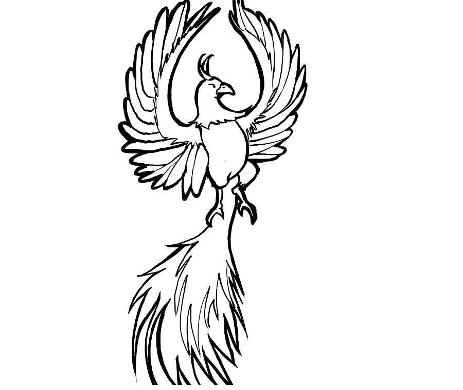 Collection of Phoenix clipart | Free download best Phoenix clipart on