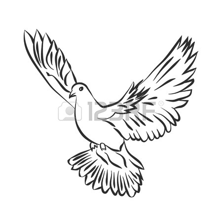 450x450 Huge Collection Of 'peace Dove Drawing' Download More Than