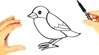 320x180 To Draw A Pablo Picasso Style Bird How Easy For Kids Birds Drawing