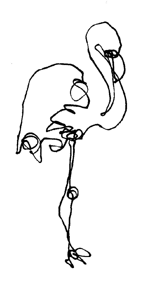 600x1164 Drawing Animals