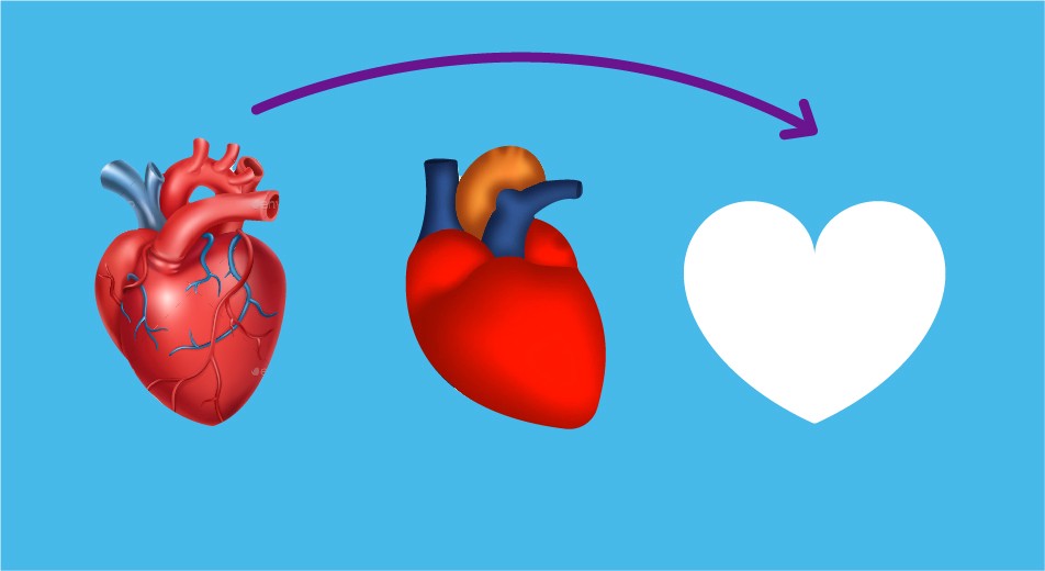 952x520 Picasso Parallels Design