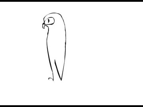 480x360 Picasso Owl