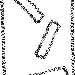 320x320 Stravinsky's Portrait