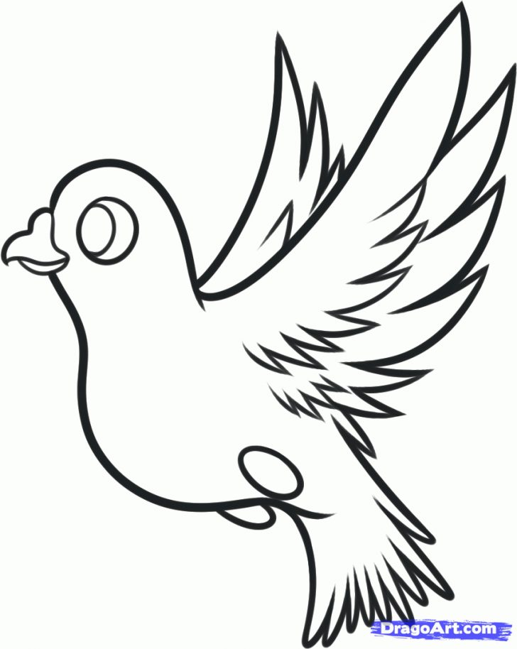 728x914 Small Dove Drawings Peace Sketch Bird Outline Simple Line Lonesome