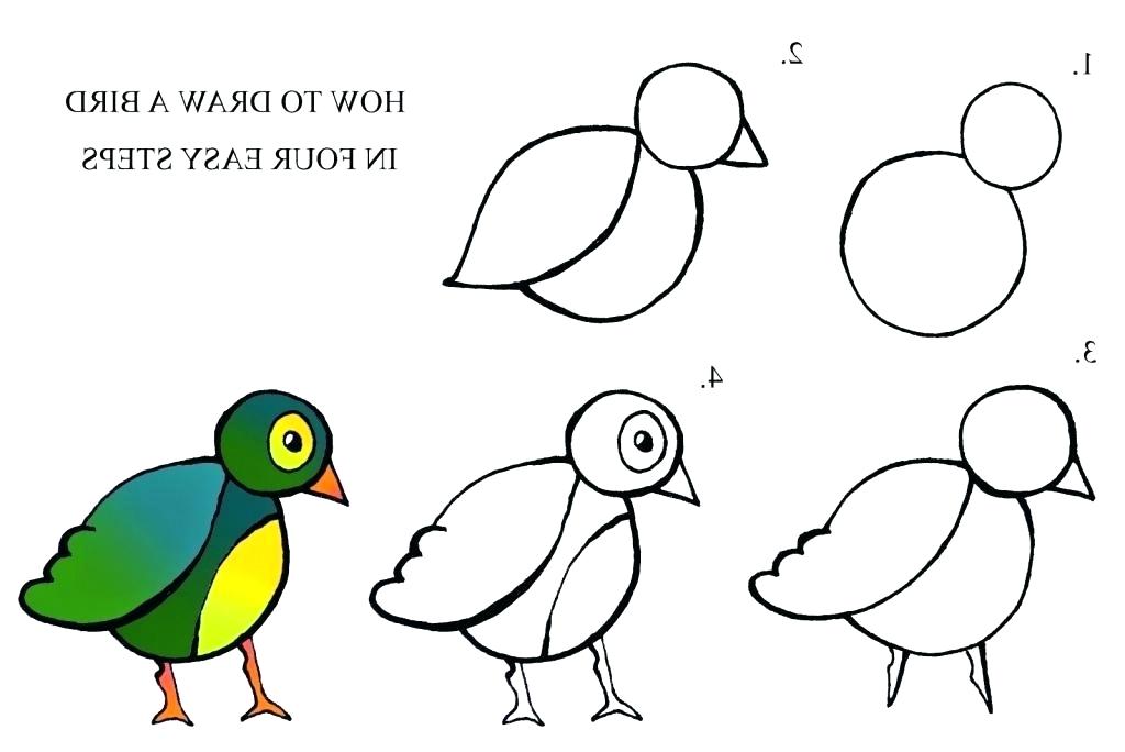 1024x684 How To Draw Easy Birds Step