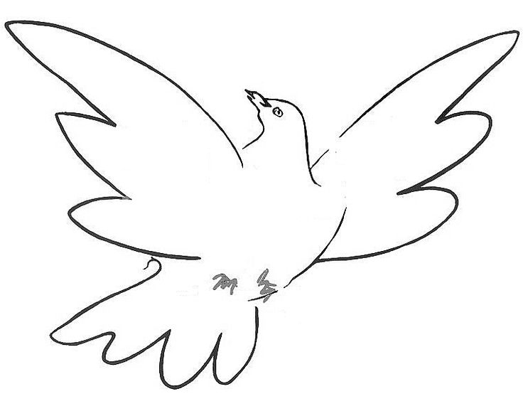 736x571 Picasso Dove