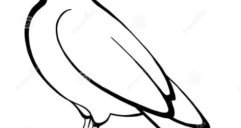 471x250 Dove Commercial Drawings Simple Tumblr Easy Allouche Cameron