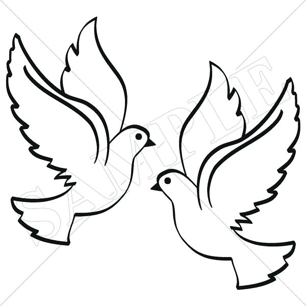 600x600 Dove Drawing Free Download