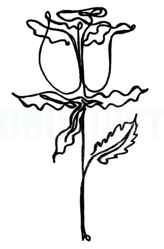 329x500 Picasso One Line Drawings Danielpimentel