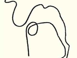 320x240 Line Drawings Of Pablo Picasso Drawings Hello Kitty Coloring Pages