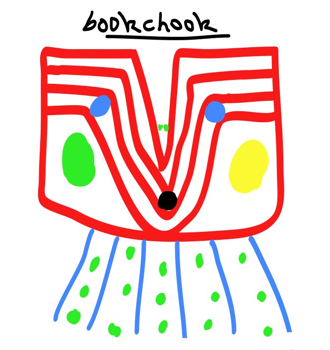 665x705 The Book Chook Children's Book Review, Draw With Pablo Picasso